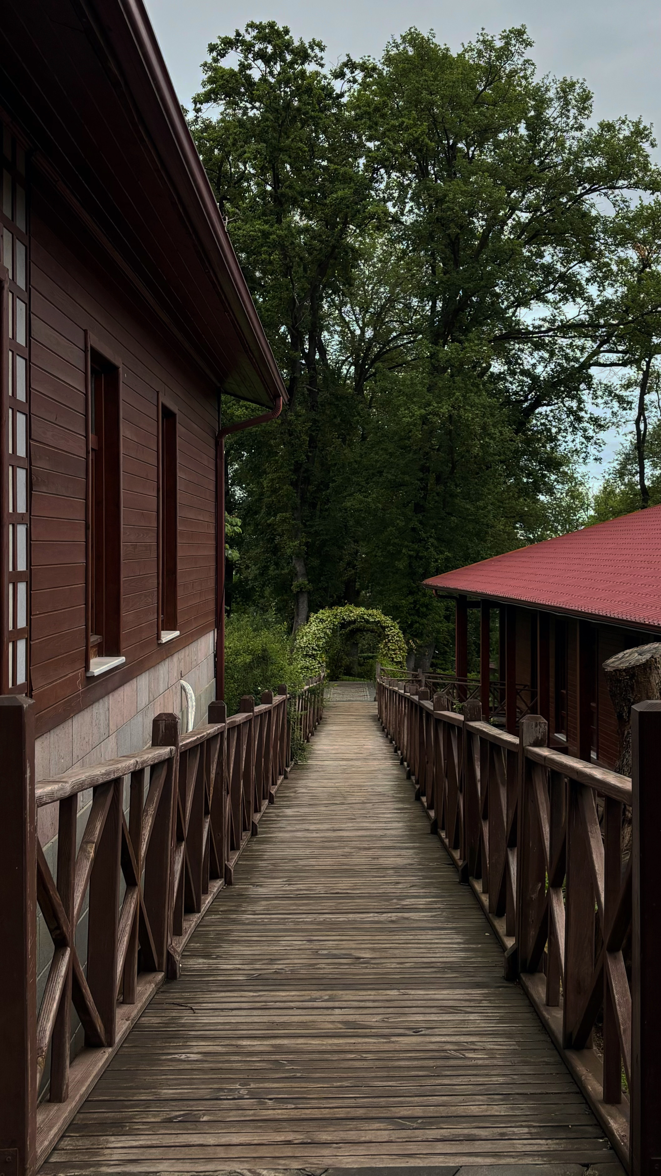 مشروع التصوير  ريفان خالد 