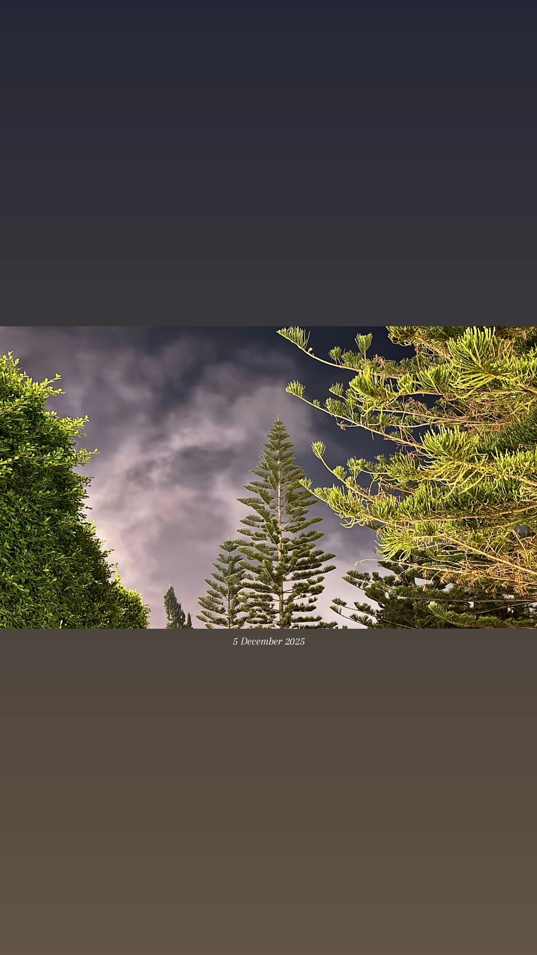 مشروع ريماس علي زايد عسيري 