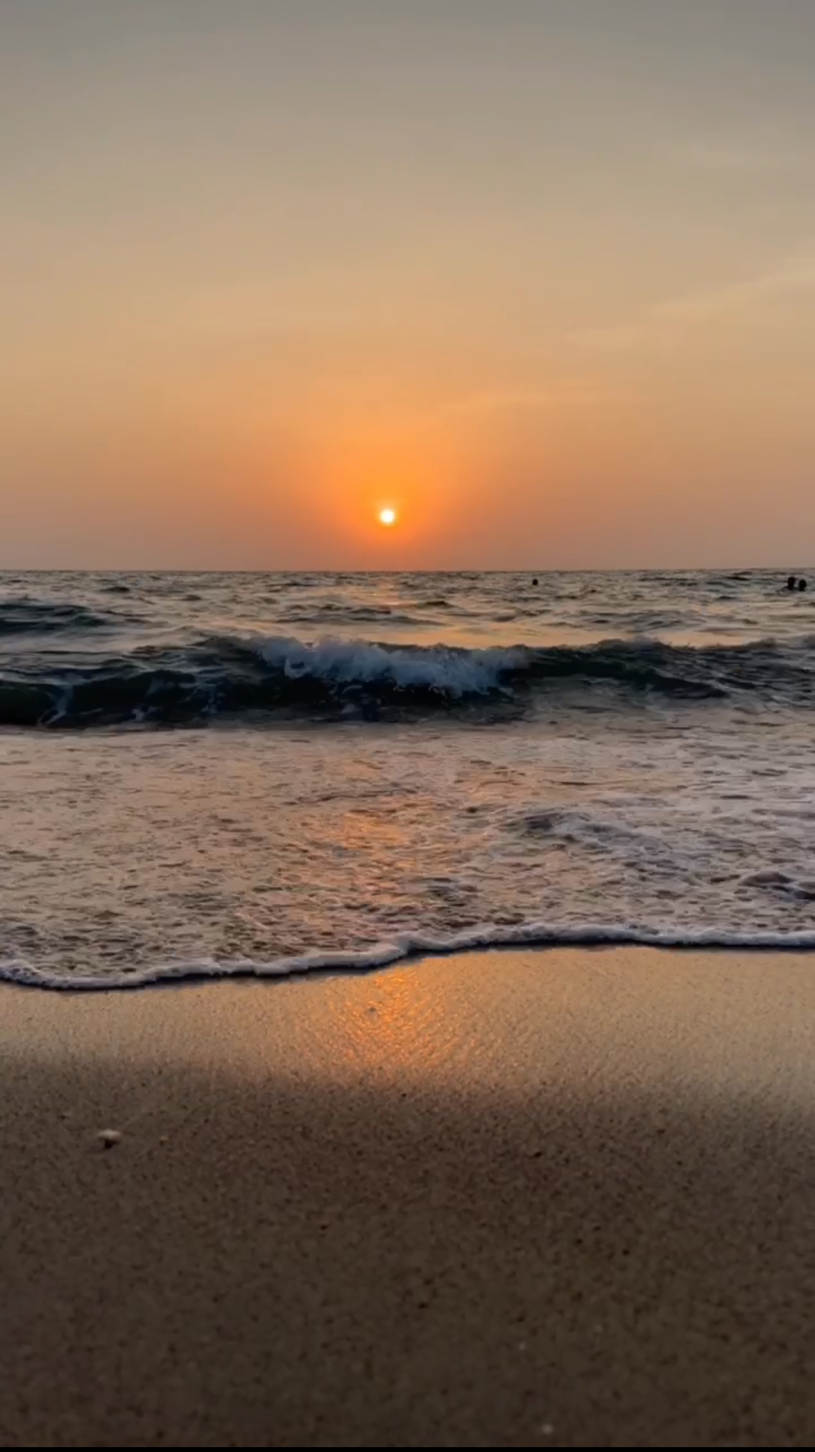 مشروع جوري احمد 