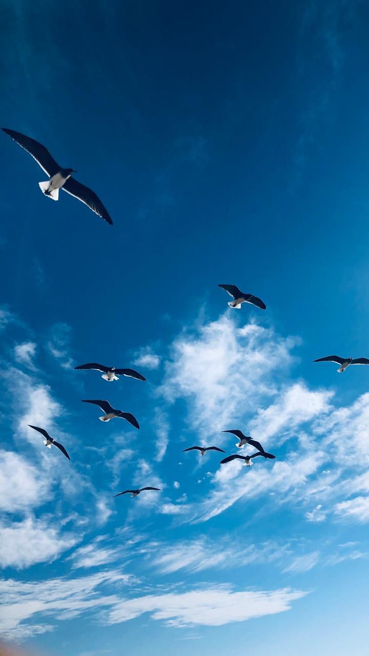 مشروع ورشة تصوير 